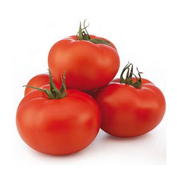 Tomate